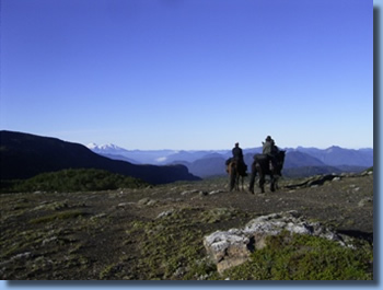 Zum Quetrupillan Vulkan, Reittour in Patagonien, Ausblick